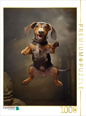 Produktbild von CALVENDO Puzzle Hochspringer | 1000 Teile Lege-Größe 64x48cm Foto-Puzzle für glückliche Stunden