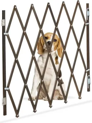 Immagine prodotto di Protezione per cani estensibile in marrone