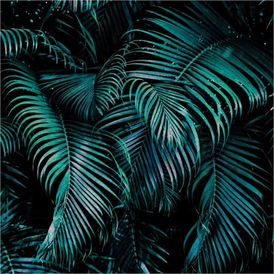 Produktbild von Fototapete 363111 Vliestapete Blumen Floral 424 x 265 cm Rasch Selection Blau