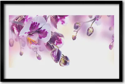 Produktbild von Bild 60x40 MDF-Rahmen Wandkunst Blumen Pflanzen Natur