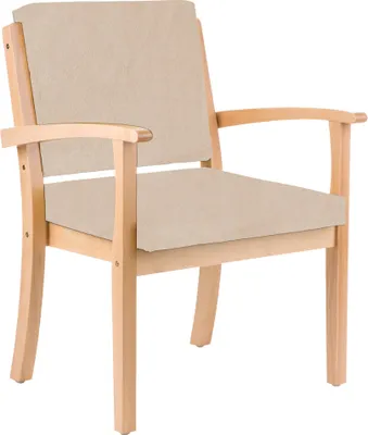 A close-up studio shot of a chair.