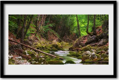 Produktbild von Bild 60x40 MDF-Rahmen Wandkunst Wald Moos Natur