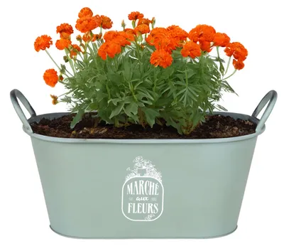 Produktbild von Sunnydays Eimer/Pflanzgefas - Zink - elfenbeinweis - D24 x 19 cm