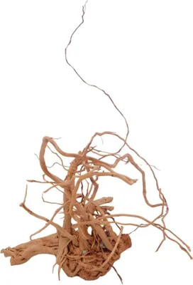 Produktbild von L Drachen Wurzel Nr.3198 Holz Deko Aquascaping