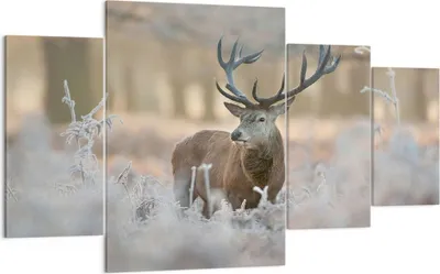 Produktbild von Bild auf Leinwand - Leinwandbild - Hirsch Wald Natur - 160x90cm - Wand Bild - Wanddeko - Wandbilder - Leinwanddruck - Bilder - Kunstdruck - Wanddekoration - Leinwand bilder - Wandkunst - DL160x90-3744