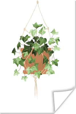 Produktbild von MuchoWow® Poster Pflanzen - Kletterpflanze - Hängender Blumentopf 80x120 cm - Papierdruck