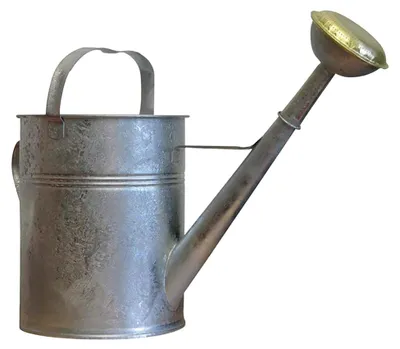 Produktbild von Gießkanne aus verzinktem Blech, 10 Liter, mit Messing-Brausekopf, in runder Form