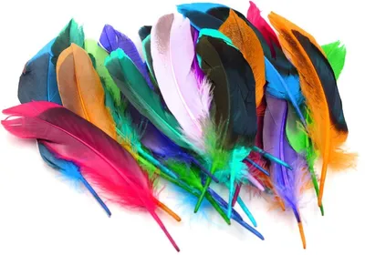 Set 50 bunte, natürliche, gemischte Federn 10-15 cm