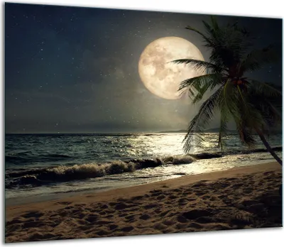 Obrázok produktu pre Sklenený kryt sklokeramickej varnej dosky 60x52cm Beach Sea