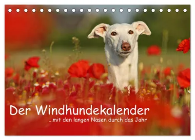 Produktbild von Der Windhundekalender (Tischkalender 2027 DIN A5 quer), CALVENDO Monatskalender