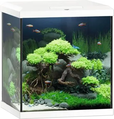 Produktbild von Aquarium JUWEL Vio Cube 54 l, ca. 41 x 36 x 47 cm, inkl. LED Beleuchtung 7 W, Heizer, Filter, weiß