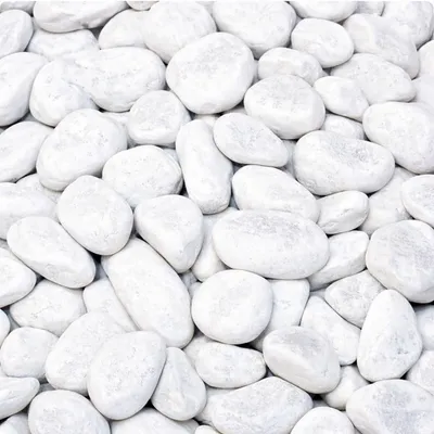 Marmorkies Carrara weiß 15 25 mm 10 kg Zierkies Naturstein für Garten Wege Einfahrten Beete Spritzschutz frostsicher dekorativ pflegeleicht heller Dekokies für moderne Gartengestaltung:de