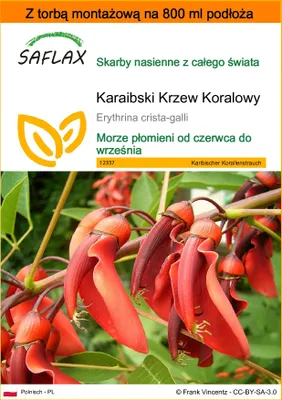 Zdjęcie produktu dla SAFLAX - Garden in the bag - Karaibski Krzew Koralowy - 6 Nasiona - Z podłożem uprawowym w praktycznej, samorozkładającej się torbie - Erythrina crista-galli