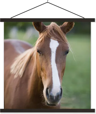 Produktbild von MuchoWow® Textilposter Pferd - Natur - Porträt 90x90 cm mit schwarzem Rahmen - Magnetisches