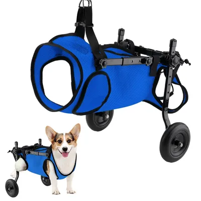A blue dog wheelchair is shown from two angles: a close-up of the harness and frame, and a smaller image of a corgi dog wearing a similar wheelchair.