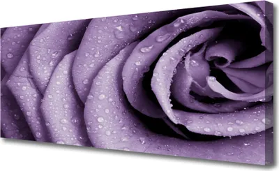 Produktbild von Tulup Leinwand-Bilder 125x50 Wandbild Canvas Kunstdruck Rose Pflanzen