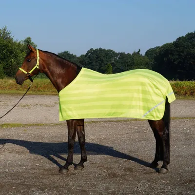 Produktbild von Busse Decke REFLECTION, Farbe:gelb, Rückenlänge in cm:125