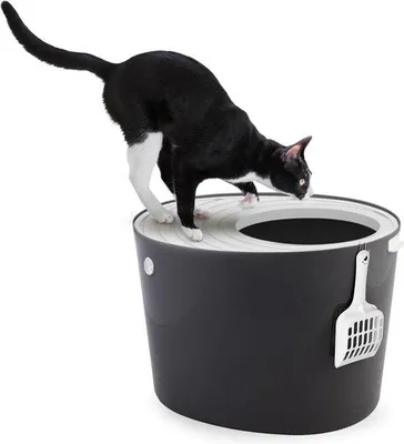 Produktbild von Famanu Katzentoilette mit Schaufel - Polypropylen, Schwarz