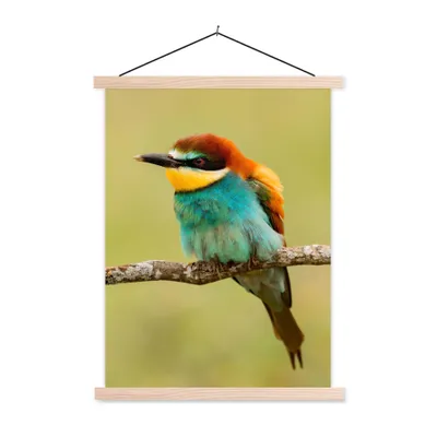 Produktbild von MuchoWow® Textilposter Vogel - Bienenfresser - Tiere 60x80 cm mit holzfarbenen Rahmen - Wandbild