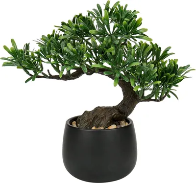 Zdjęcie produktu dla Sztuczne bonsai Podocarpus 25 cm w ceramicznej doniczce czarne-3 - Sztuczne drzewko do salonu i dekoracji