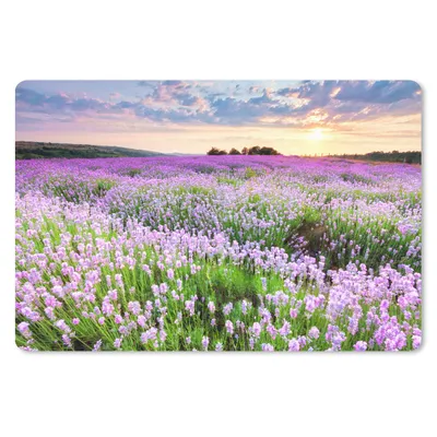Produktbild von MuchoWow® Mauspad Mousepad Blumen - Lavendel - Lila - Himmel - Sonnenuntergang - Wiese - Natur 27x18 cm - Mousepads - Maus Mat - Pad - Mausunterlage - Büroartikel - Desk Matten