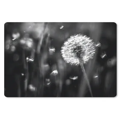 Produktbild von MuchoWow® Schreibtischunterlage Löwenzahn - Schwarz - Weiß - Pflanze 60x40 cm - XXL Mauspad - Großes Mauspad