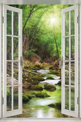 Produktbild von Wallario Poster mit Fenster-Illusion: Fluss im Wald, Größe: 61 x 91,5 cm (Maxiposter)