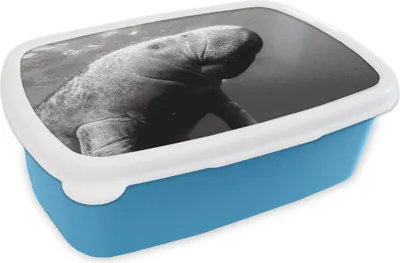 Produktbild von KitchenYeah® Lunchbox Brotzeit Brotdose 17x11 cm Unterwasserfoto einer Seekuh - schwarz-weiß Kinder Brotzeitdose - Lunch - Kunststoff  - Brotbüchse - Sandwichbox - Lunchbox für Kinder