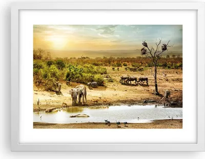 Produktbild von Gerahmtes Poster - Weißer Rahmen - Safari Tiere - 40x30 cm - Wand Bild - Wanddeko - Wandbilder - Kunstposter - Wandposter - Bilderrahmen - Bilder - Kunstdruck - Wandbild - P2WAA40x30-3880