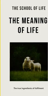 Produktbild von The Meaning of Life