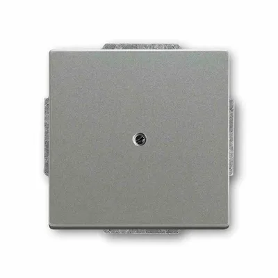 Produktbild von BJ solo Blindabdeckung 1742-803 graumetallic