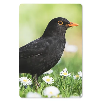 Produktbild von MuchoWow® Mauspad Mousepad Vogel - Amsel - Blumen 18x27 cm - Mousepads - Maus Mat - Pad - Mausunterlage
