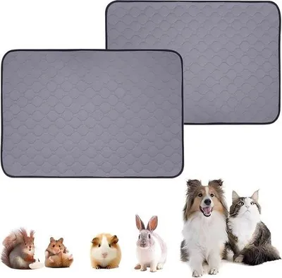 Produktbild von Wiederverwendbare Trainingsunterlagen, waschbare Hundematten für Haustiere – sehr saugfähig – rutschfest – für Zuhause und unterwegs – Hundezubehör – Grau – 70 x 50 cm.