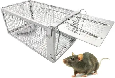 Produktbild von Famanu Lebendfalle Set 2 Stück - Tierfreundliche Rattenfalle für Hamster
