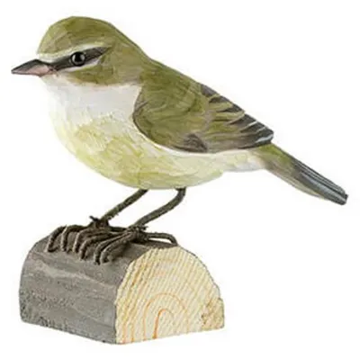 Productafbeelding van Natuurlijke tuin: Dekvogel, Weidenlaarsänger, Zilpzalp