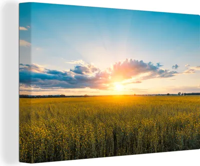Produktbild von OneMillionCanvasses® - Leinwandbilder - 140x90 cm, Rapsfeld bei Sonnenuntergang, Wandbilder Kunstdruck Wanddekoration