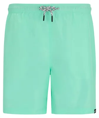 Produktbild von Regatta - "Mackleyna" Badeshorts für Herren RG10824 (L) (Eisgrün)