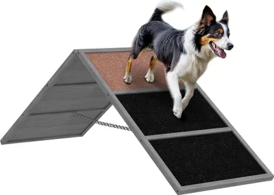 Zdjęcie produktu dla PawHut – kładka do agility dla psów, sprzęt do agility z antypoślizgową powierzchnią