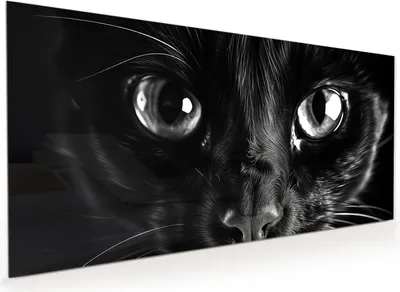 Produktbild von Küchenrückwand Spritzschutz Glas mit Motiv Katzengesicht 40 x 40 cm
