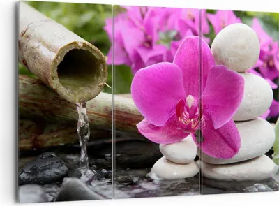 Produktbild von Bild auf Leinwand - Leinwandbild - Orchidee Bambus Dekoration Spa - 165x110cm - Wand Bild - Wanddeko - Leinwanddruck - Bilder - Kunstdruck - Leinwand bilder - Wandkunst - CE165x110-2666