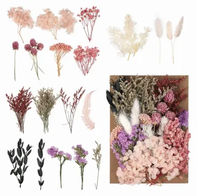 Trockenblumen-Set, getrocknete echte Blumen, natürliche Farben, 1 Stück