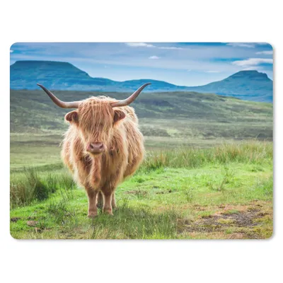 Produktbild von MuchoWow® Mauspad Mousepad Schottischer Hochländer - Kuh - Natur - Berg - Gras 23x19 cm - Mousepads - Maus Mat - Pad - Mausunterlage - Schreibtischunterlage - Mauspad