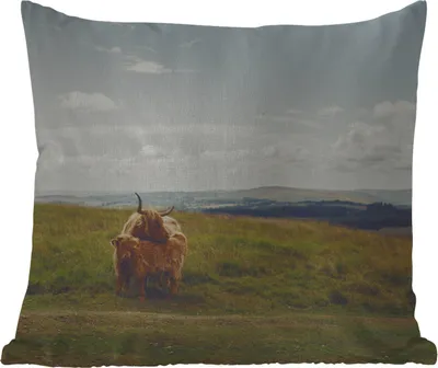 Produktbild von MuchoWow® Outdoor Kissen - Schottische Hochlandrind - Gras - Wolken - Tiere - 60x60 cm - Wetterfest - Lounge Kissen - Dekoration - Schlaf Kissen