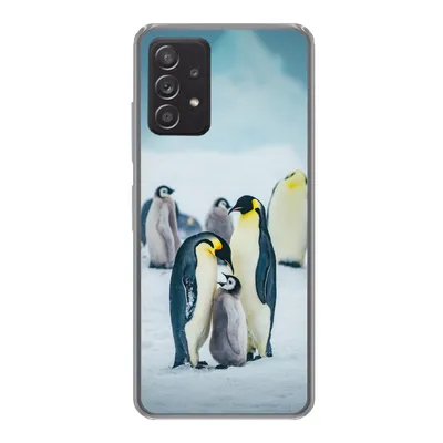 Produktbild von MuchoWow® Handyhülle Schutzhülle Hülle für Samsung galaxy a73 Kaiserpinguin-Küken wird gefüttert Silikon Softcase Handy Hülle - Handyhülle