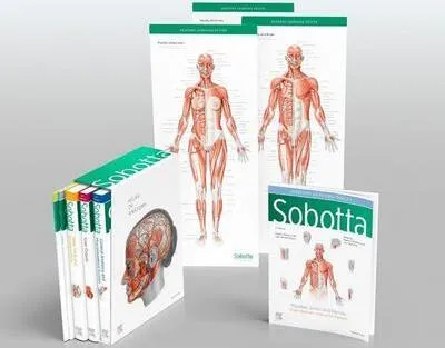 Immagine prodotto di Sobotta Atlas of Anatomy, Package, 17th ed., English/Latin