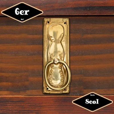 Produktbild von Schubladengriff,Serie "Seol",6er Pack  | Eisen in Messing gl. | H9,6xB3,4cm