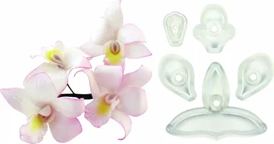 Produktbild von Set mit 5 Ausstechformen - Singapur-Orchidee - PME