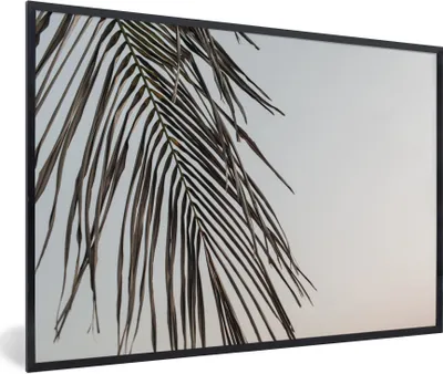 Produktbild von MuchoWow® Gerahmtes Poster Sommer - Palme - Blatt 90x60 cm - Poster mit Schwarzem Bilderrahmen Wandposter Rahmen Foto Bilder - Fotorahmen - Foto-Plakat