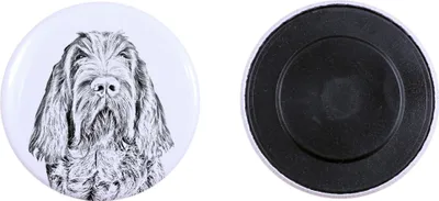 Image de Spinone aimant avec petit chien Art-Dog