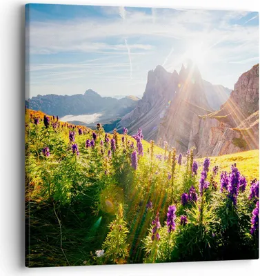 Produktbild von Bild auf Leinwand - Leinwandbild - Berge Wiese Blumen - 40x40cm - Wand Bild - Wanddeko - Wandbilder - Leinwanddruck - Bilder - Kunstdruck - Wanddekoration - Leinwand bilder - Wandkunst - AC40x40-4008